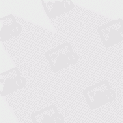 当代书法艺术家：毋传玉